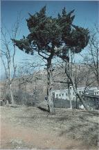 1950년대 미군촬영 [슬라이드 16]. 3