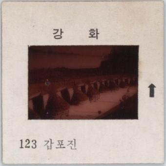 강화도 관련 교육용 슬라이드 필름. 123, 갑포진 [슬라이드]