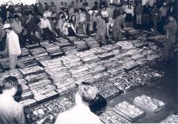 1960년대 인천 부두 수협 위판장