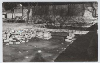 최성연 355 욕은지 (2)