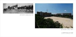 [사진으로 보는 인천교육 반세기] 서곶초등학교